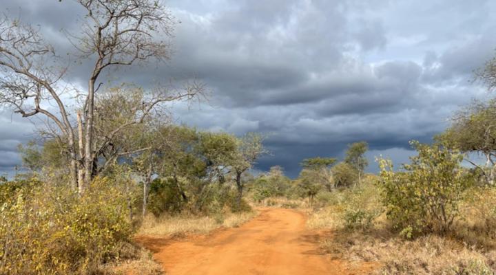 Switsongo Boutique Bed and Breakfast