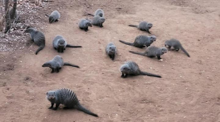 Switsongo Boutique Bed and Breakfast