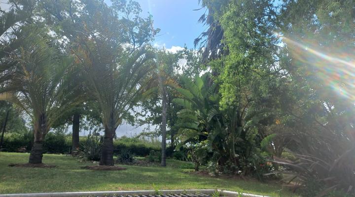 Merwenstein Guest Farm