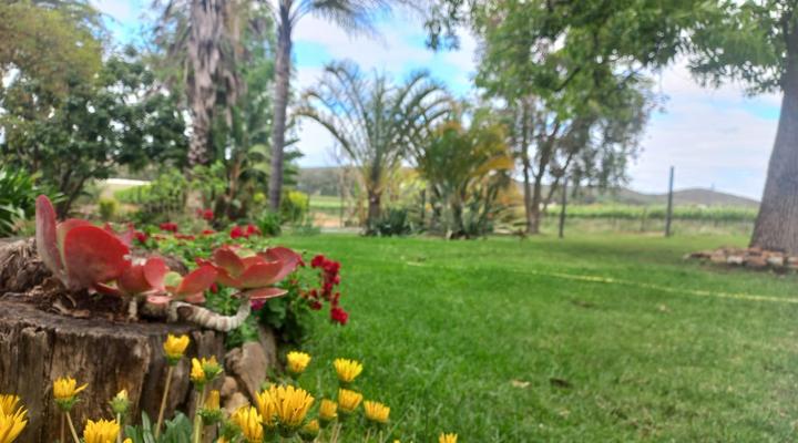 Merwenstein Guest Farm