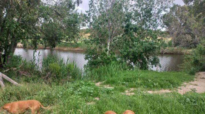 Merwenstein Guest Farm