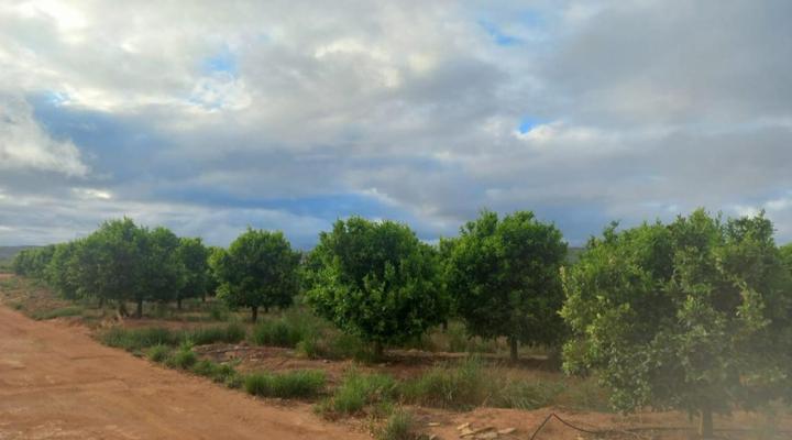 Merwenstein Guest Farm