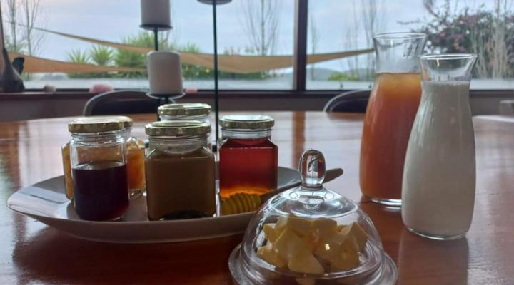 Merwenstein Guest Farm