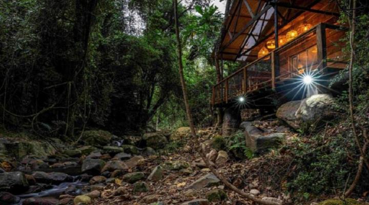 Matumi Trail Forest Lodge