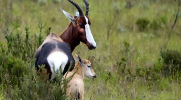 Fungamukaba Sanctuary Stone Cottage
