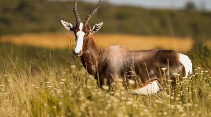 Fungamukaba Sanctuary Stone Cottage