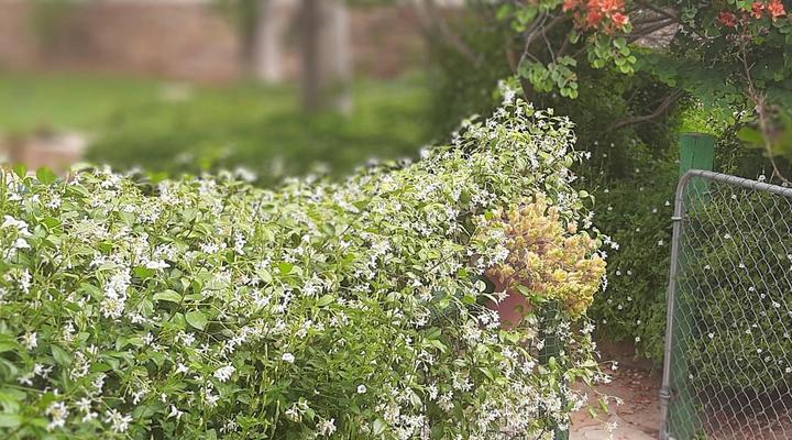 Rosenhof Guesthouse & Self-catering Cederberg