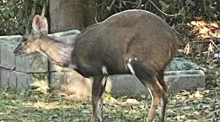 Wild Waters Holiday Accommodation