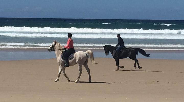 Summerhill Self Catering Accommodation