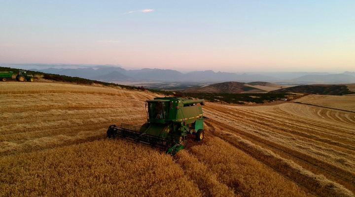 Dassenheuwel Farm Stay