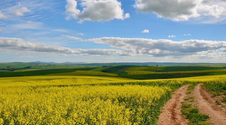 Dassenheuwel Farm Stay