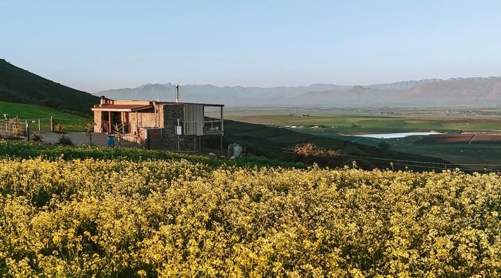 Dassenheuwel Farm Stay