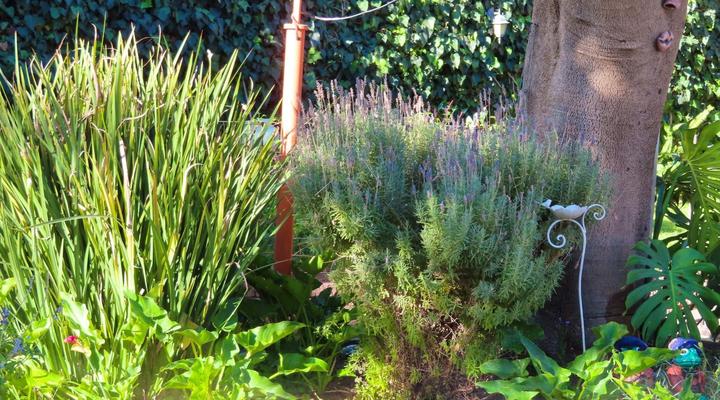 Fest Self-catering Accommodation