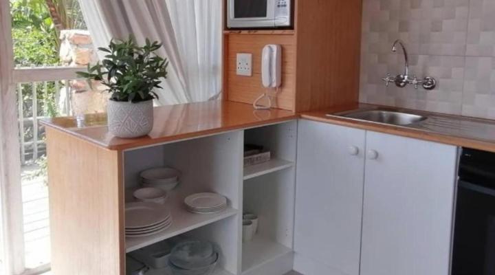 African Violet - Loft Living