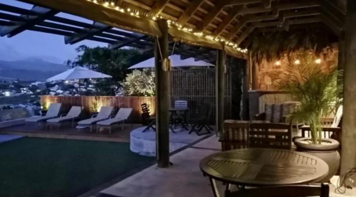 African Violet - Loft Living