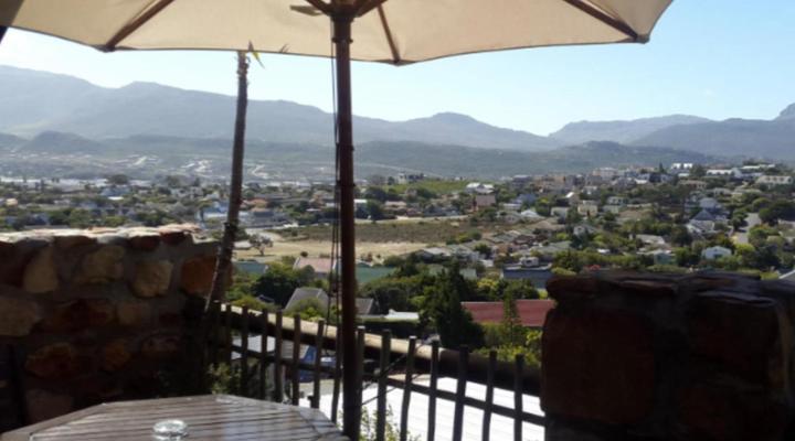 African Violet - Loft Living