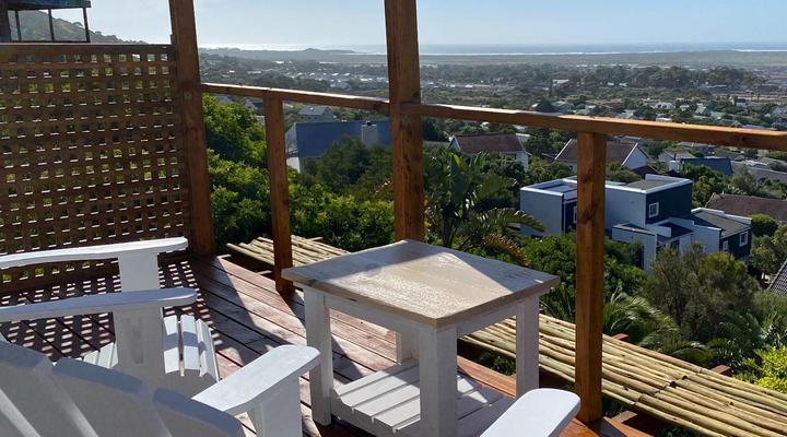 African Violet - Loft Living