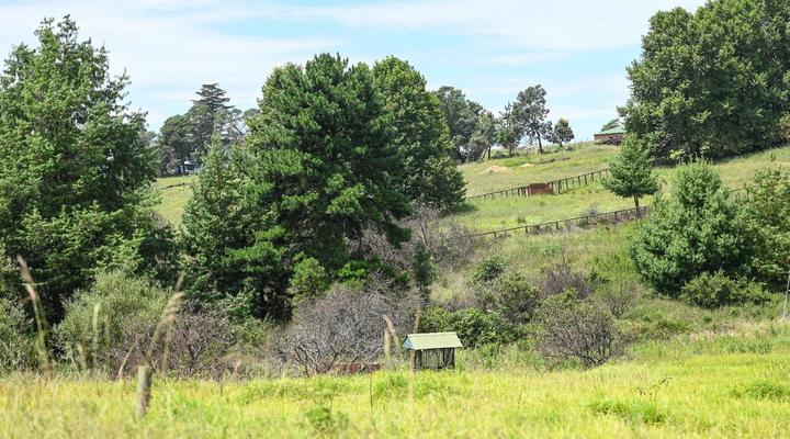 Waterwoods Equestrian Venue and Cottages