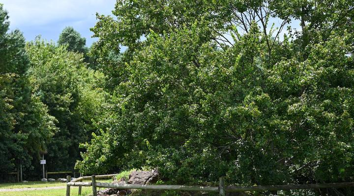 Waterwoods Equestrian Venue and Cottages