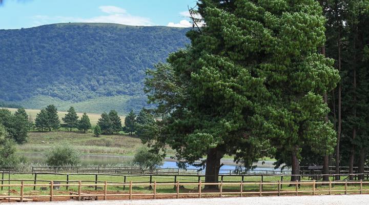 Waterwoods Equestrian Venue and Cottages