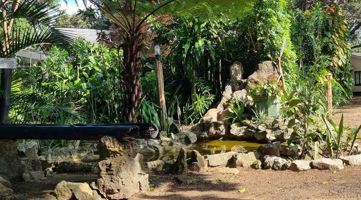 Milkwood Beach Cottages