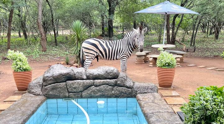 Kruger Kumba - Mugwenzi