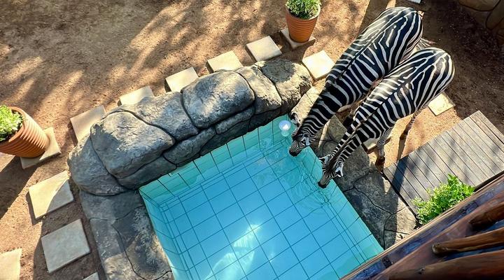 Kruger Kumba - Mugwenzi