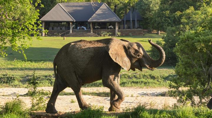 Inyati Game Lodge, Sabi Sand Nature Reserve