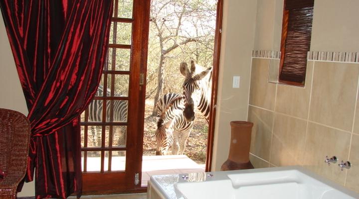 Khaya Umdani Mpumalanga