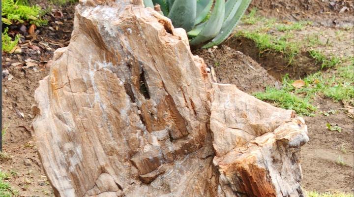 Old Hoek Guest House