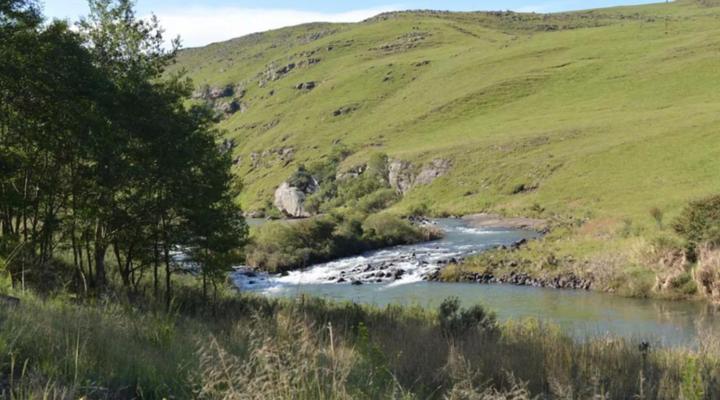 Glentowy Farm Underberg