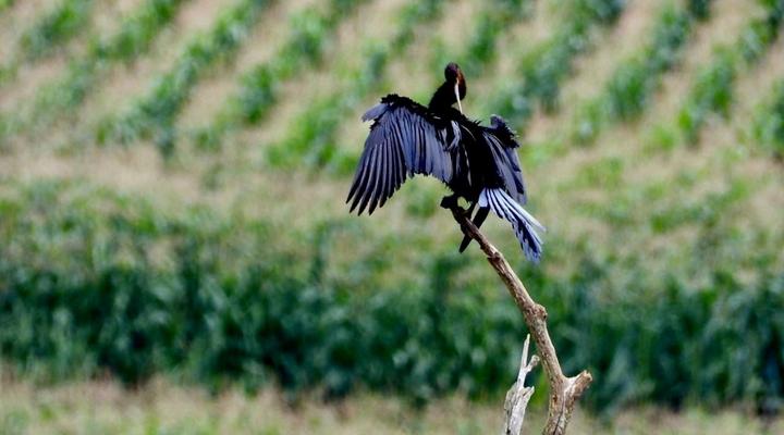 Rosetta Fields Country Lodge