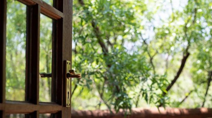 The horseshoe guesthouse 