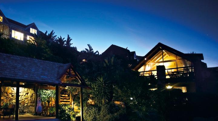 African Violet - Terraces