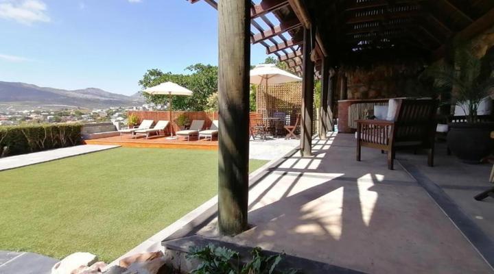 African Violet - Terraces