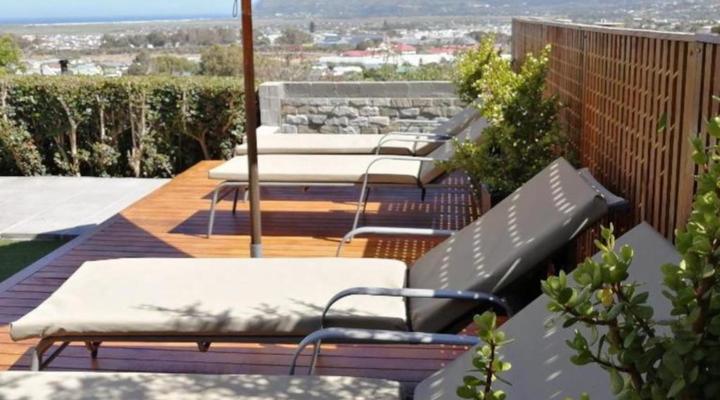 African Violet - Terraces