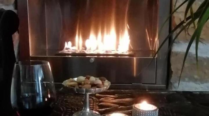 African Violet - Terraces