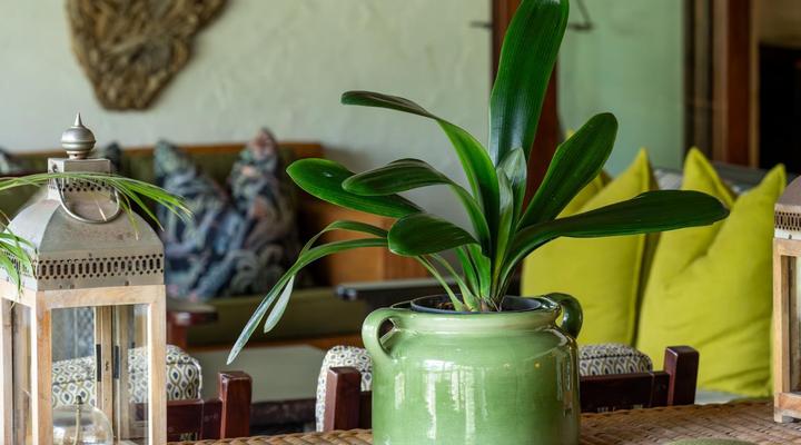 Woodall Country House & Spa