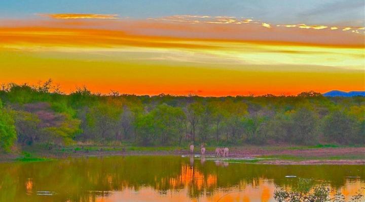 Tlokweng Rose Garden Guesthouse