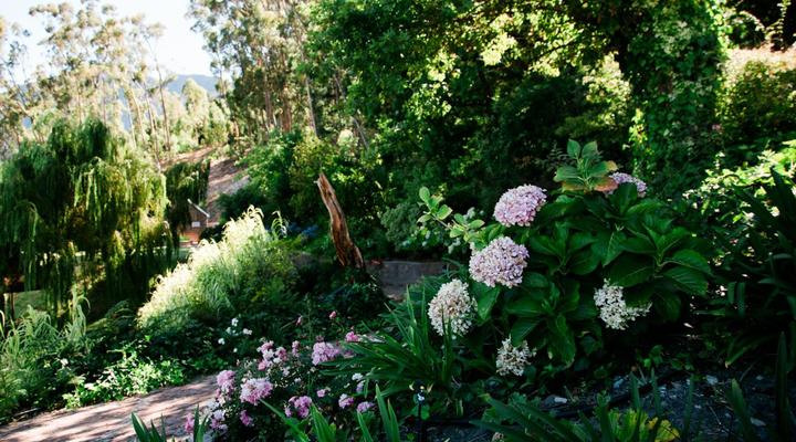 MontMartre Chalets & Venue