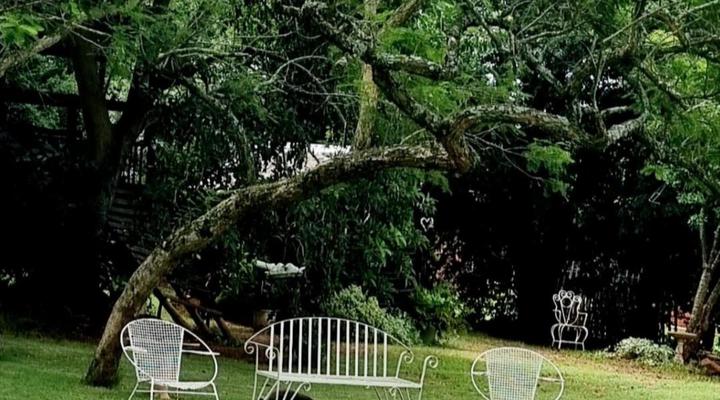 Green Ivy Guest House