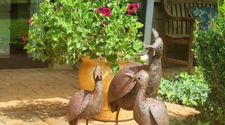 Green Ivy Guest House