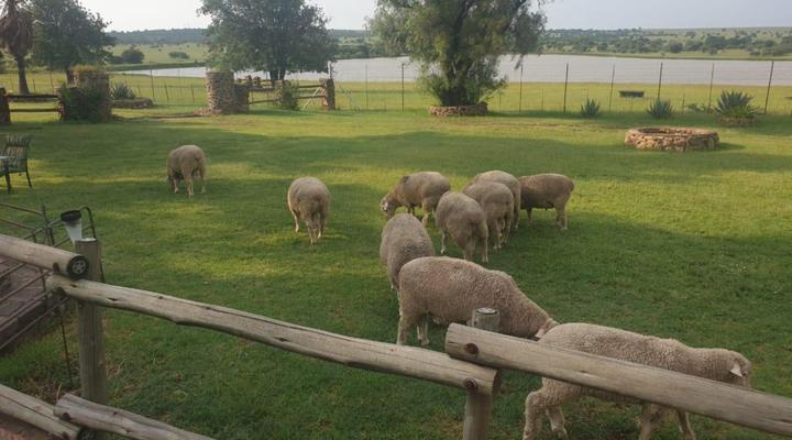 Fraaie Uitzicht Guest Farm