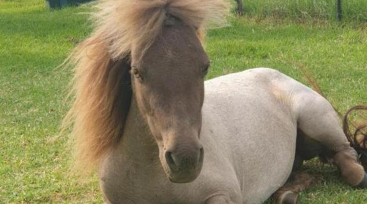 Fraaie Uitzicht Guest Farm