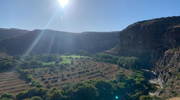 Aasvogelkrans Farm Cottages & Camping