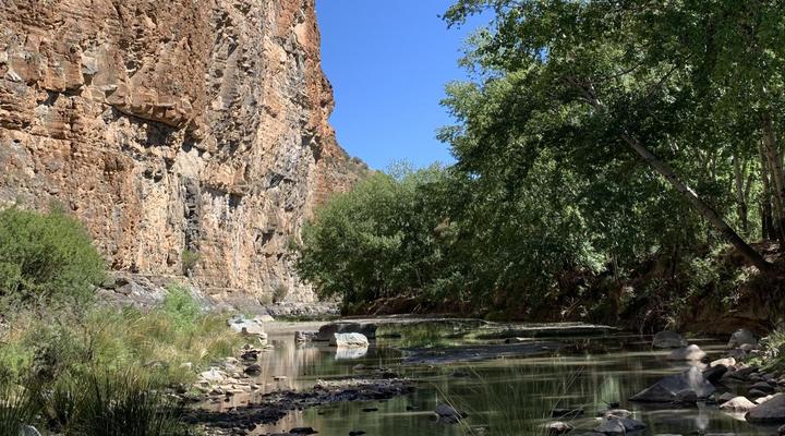 Aasvogelkrans Farm Cottages & Camping