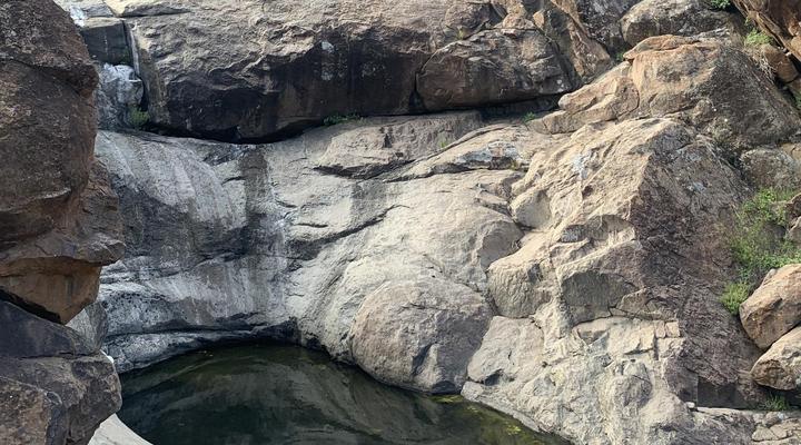 Aasvogelkrans Farm Cottages & Camping