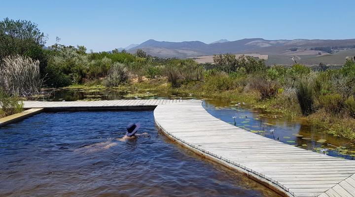 Phillipskop Mountain Reserve