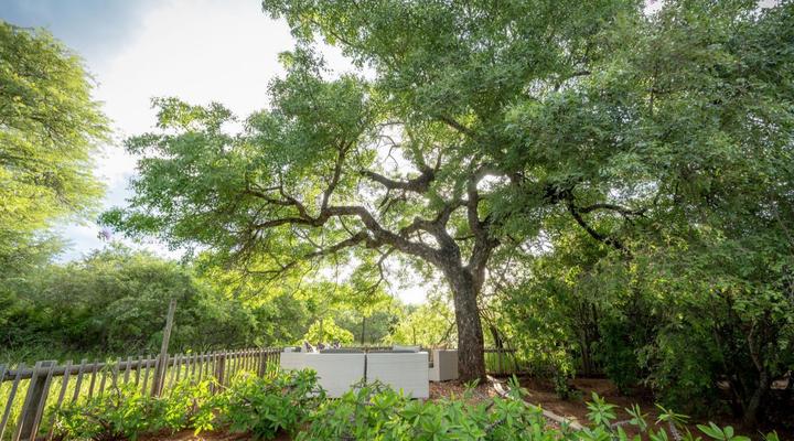 eKhaya Bush Villa