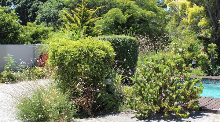 Sir Roy's Guest House